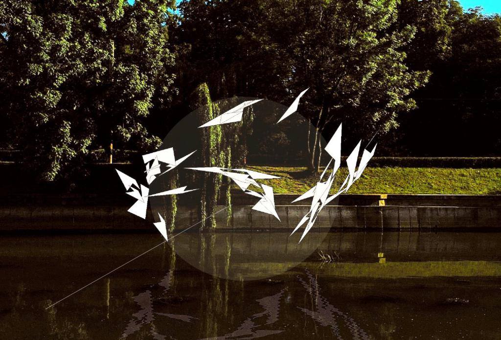 10687334_748709898529833_988043513055683521_o