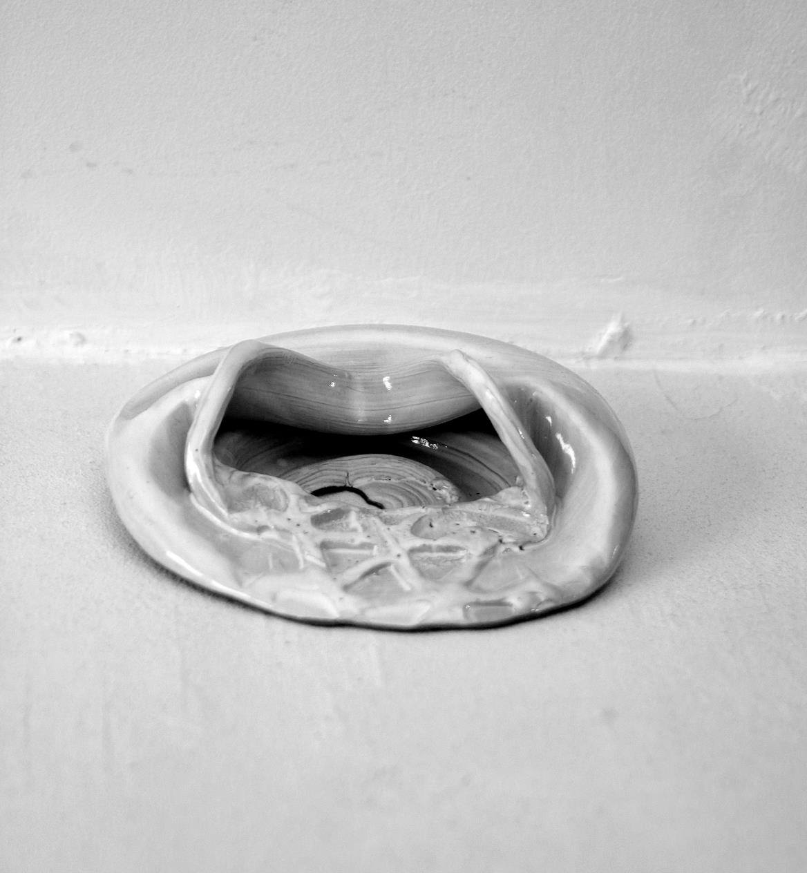 10857335_403183833179704_8510259482236959920_o