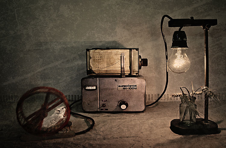 Link : “Tomi&nbsp;Hajdu”